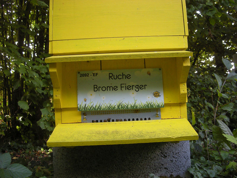 La ruche Brome Fierger